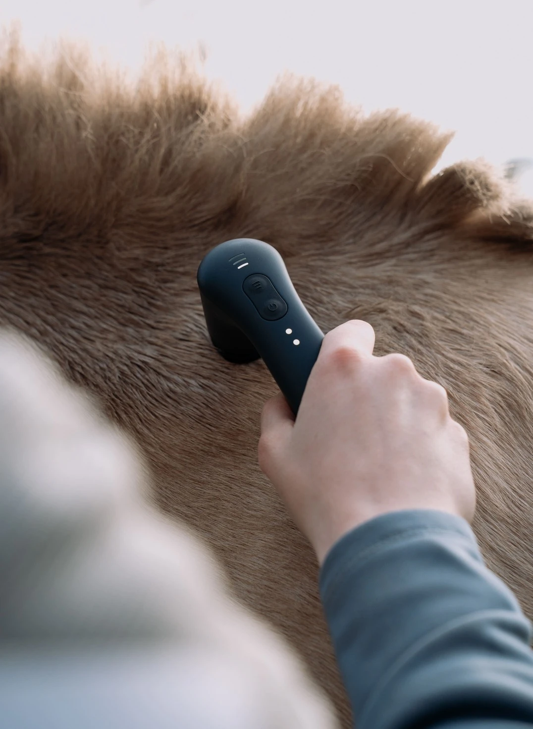 Pferdetherapie – Titelbild 3