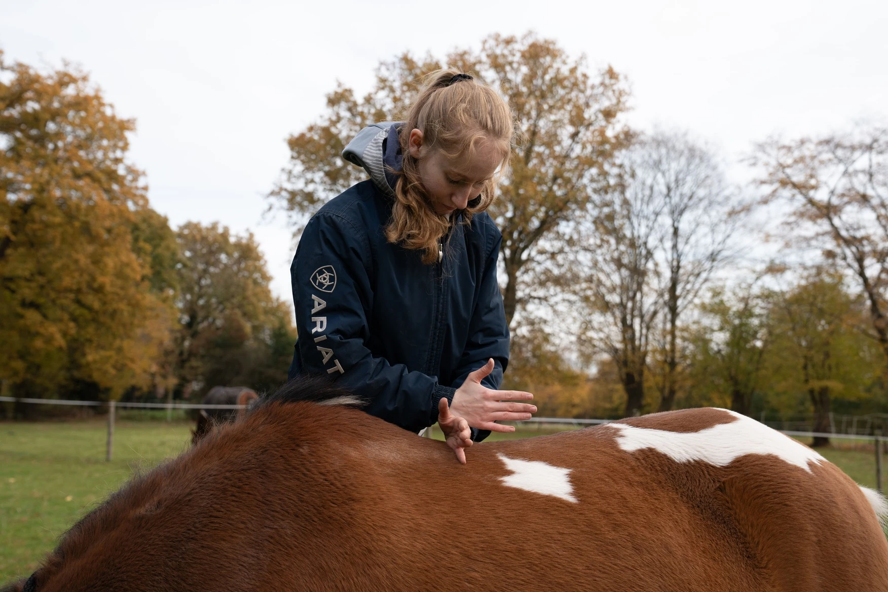 Pferdetherapie – Titelbild 4