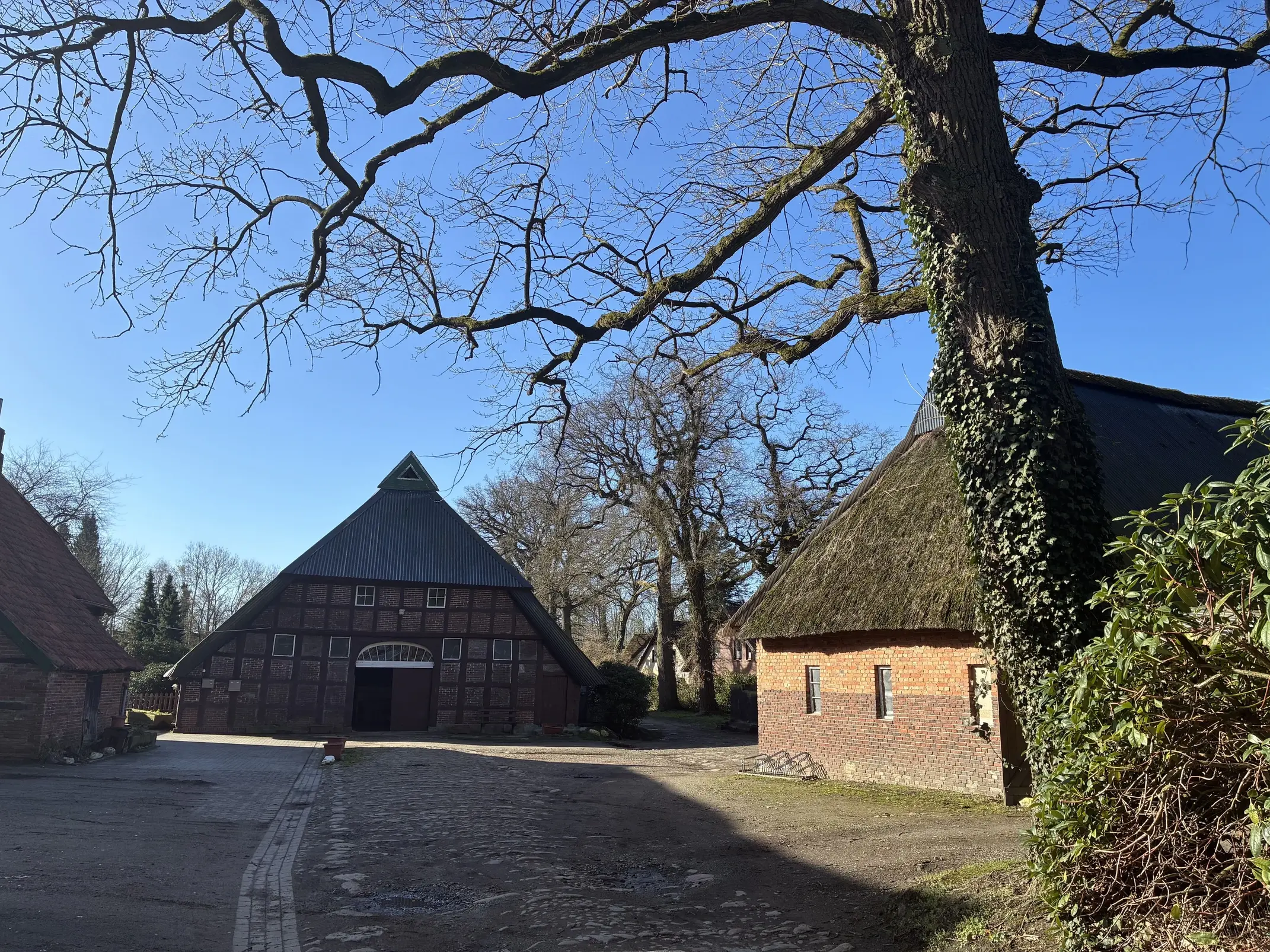 Pferdehof